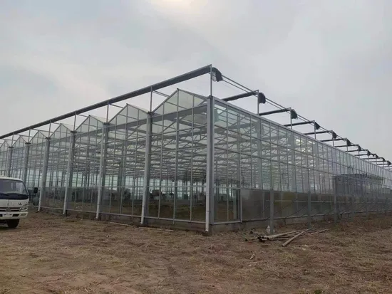 Высококачественная и прочная тетрагональная серия Hobby Greenhouse Tet