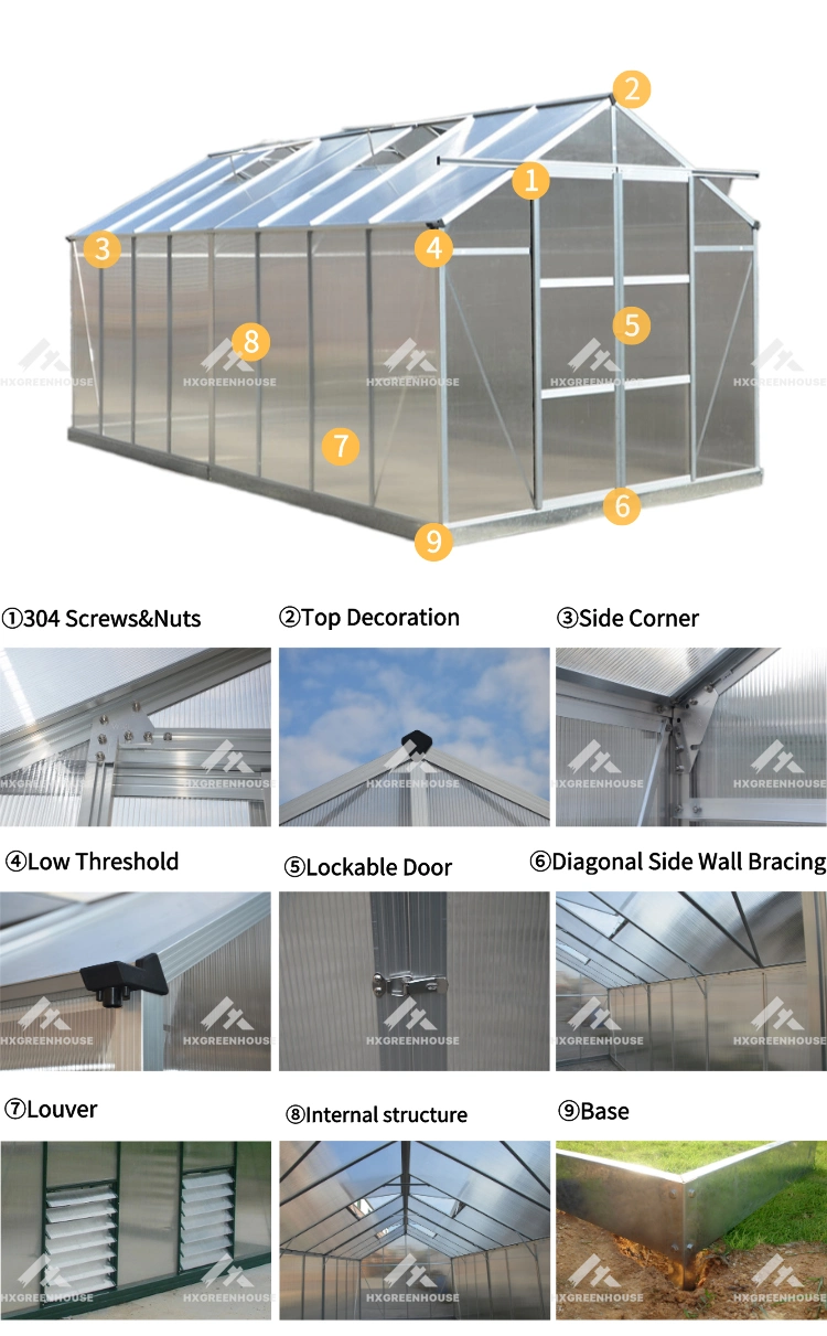 Latest 6mm Polycarbonate Sheet Aluminium Greenhouse Hx65126g-1 Series